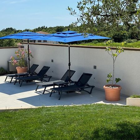 Villa Victoria Istra - Heated Pool Nova Vas  外观 照片