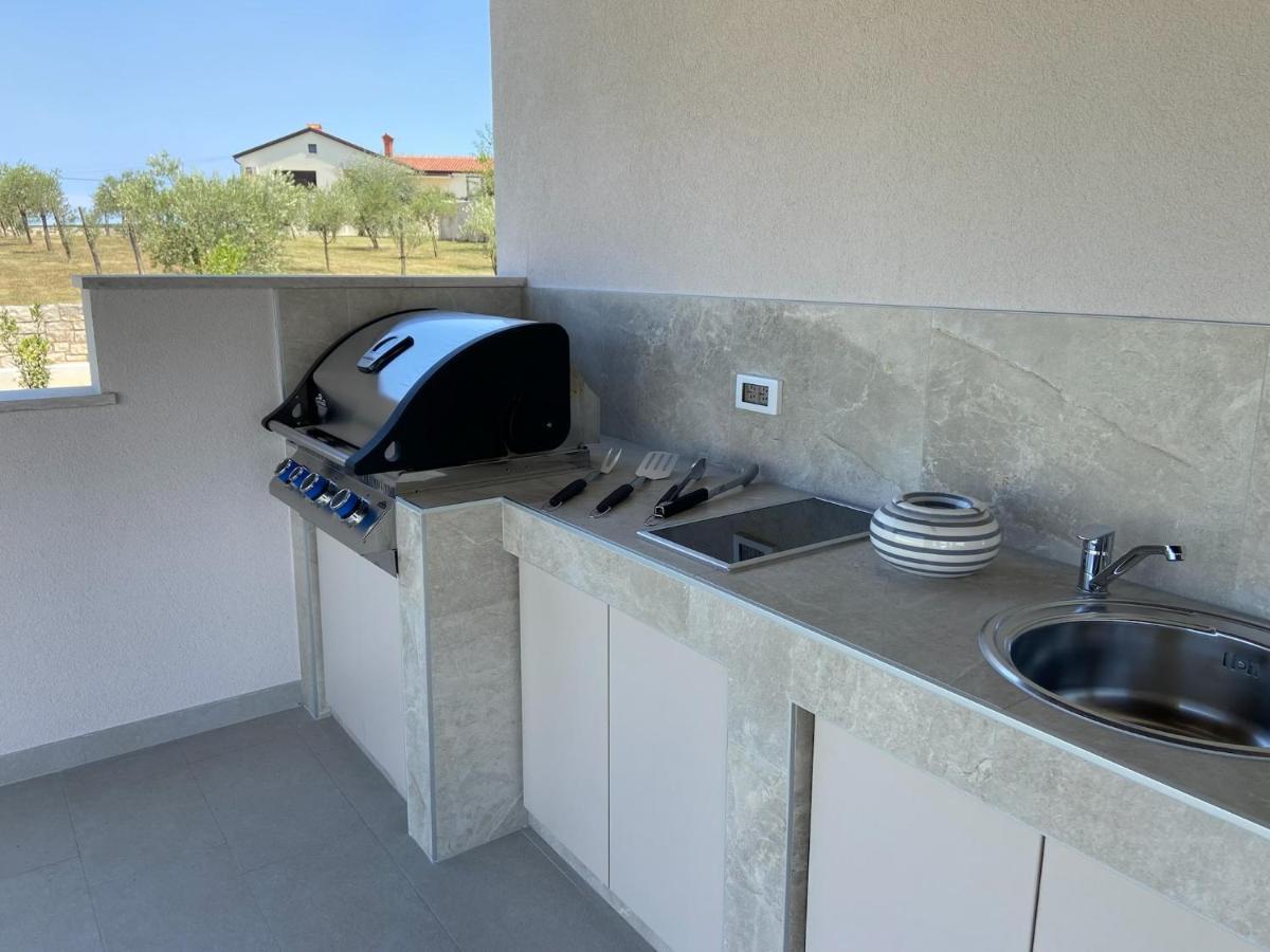 Villa Victoria Istra - Heated Pool Nova Vas  外观 照片