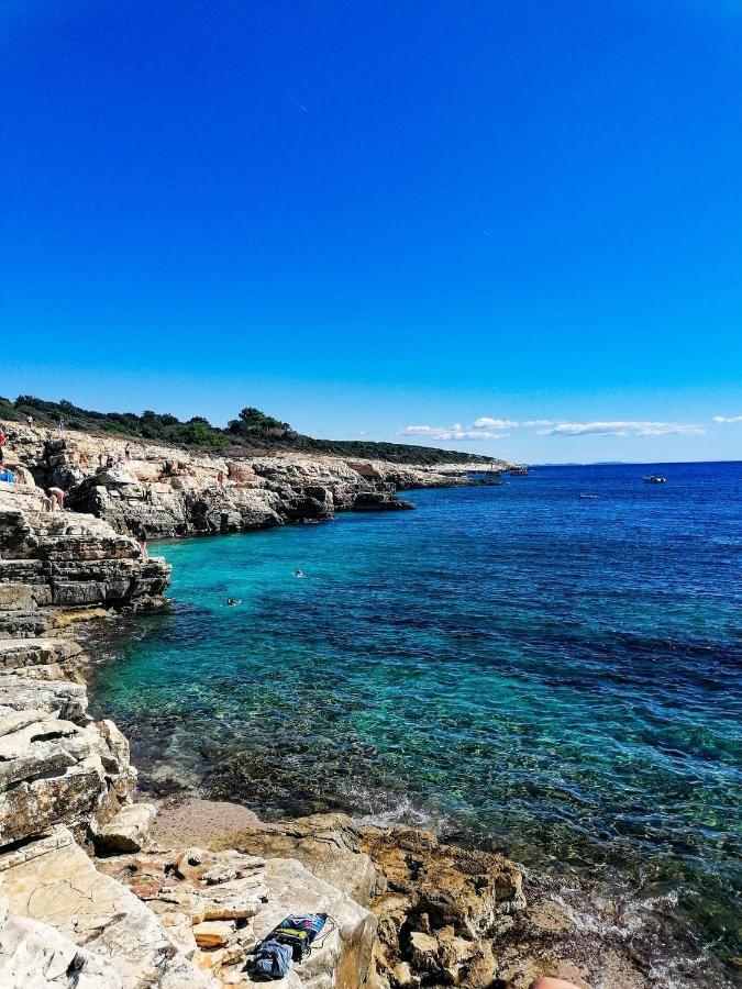 Villa Victoria Istra - Heated Pool Nova Vas  外观 照片