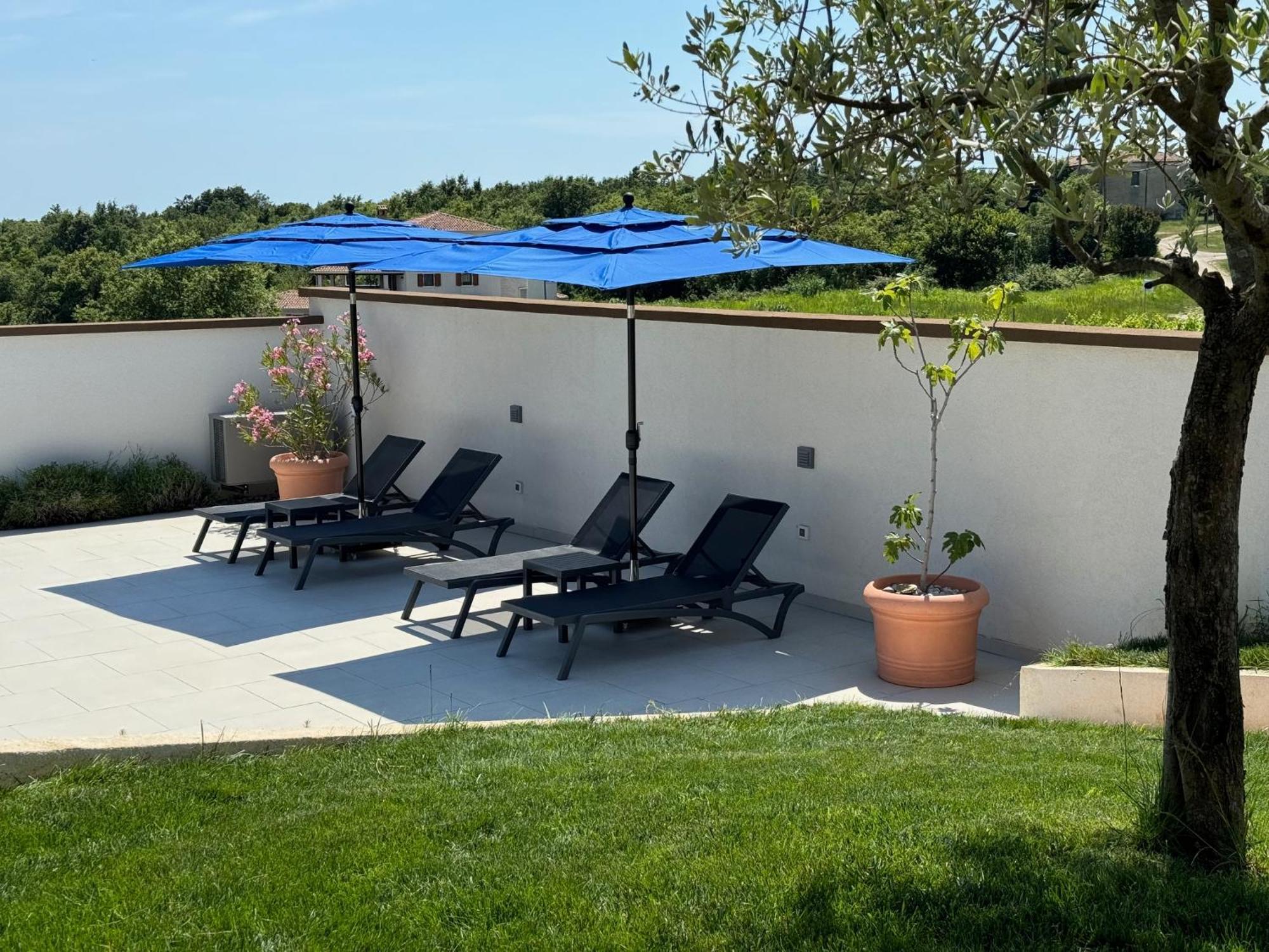 Villa Victoria Istra - Heated Pool Nova Vas  外观 照片
